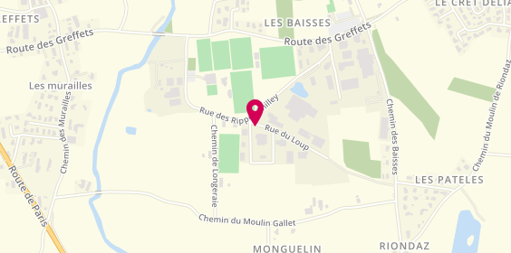 Plan de District de l'Ain de Football, 26 Rue du Loup, 01440 Viriat