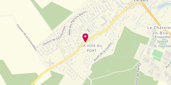 Plan de Circuit Seine et Loing, Departemental de la Ligue de Seicentre Route Fontaine le Port, 77820 Le Châtelet-en-Brie